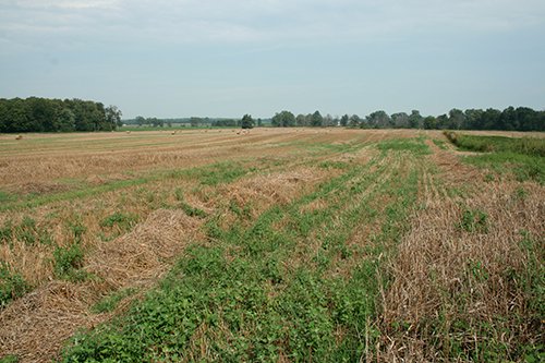 Property photo 8 - 87+/- Acres offered in 4 TractsLAND AUCTION