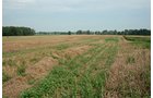 Property photo 8 - 87+/- Acres offered in 4 TractsLAND AUCTION