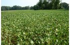 Property photo 6 - 87+/- Acres offered in 4 TractsLAND AUCTION