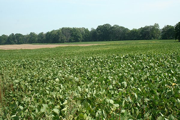 87+/- Acres offered in 4 TractsLAND AUCTION