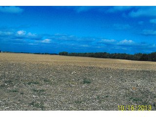 Property photo 2 - 135+/- Acres offered in 4 TractsFARMLAND & FARM EQUIPMENT AUCTION
