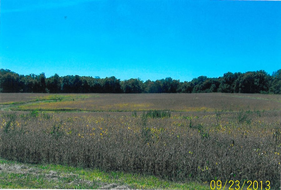 135+/- Acres offered in 4 TractsFARMLAND & FARM EQUIPMENT AUCTION