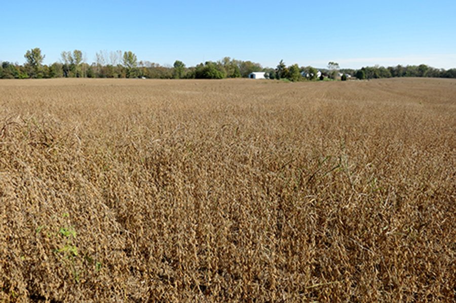 21+/- Acres Ohio Land & Farm Equipment Auction