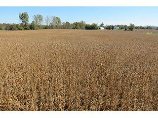 Property photo 3 - 21+/- Acres Ohio Land & Farm Equipment Auction