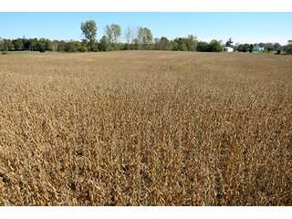 Property photo 8 - 21+/- Acres Ohio Land & Farm Equipment Auction