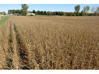 Property photo 11 - 21+/- Acres Ohio Land & Farm Equipment Auction