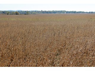 Property photo 4 - 21+/- Acres Ohio Land & Farm Equipment Auction