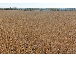 Property photo 9 - 21+/- Acres Ohio Land & Farm Equipment Auction