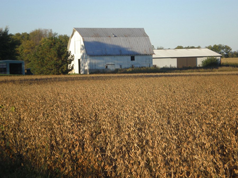 160+/- Acres offered in 5 TractsLand Auction
