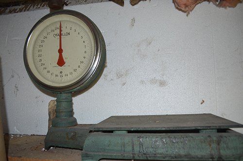 Property photo 28 - Real Estate & Personal Property Auction2 Dates