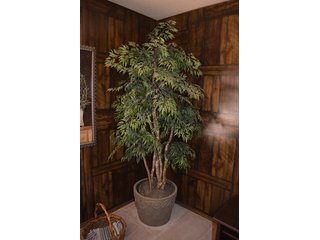 Property photo 37 - Muldoon Real Estate & Personal Property Auction