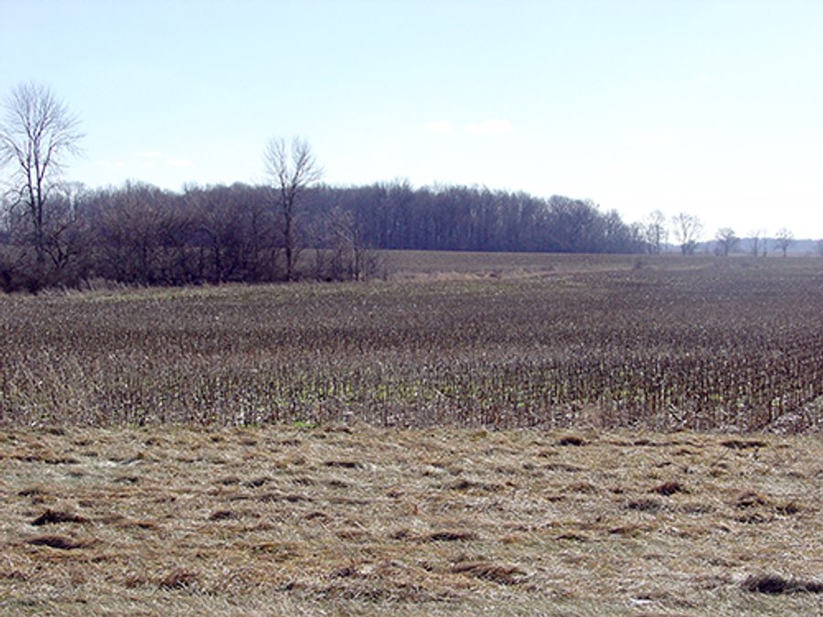 For sale: 80 Acre Grain Farm (PRICE REDUCED) - Lebanon, IN