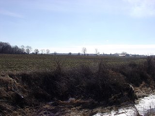 80 Acre Grain Farm - 80 Acre Grain Farm (PRICE REDUCED)