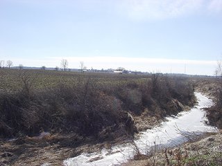 80 Acre Grain Farm - 80 Acre Grain Farm (PRICE REDUCED)