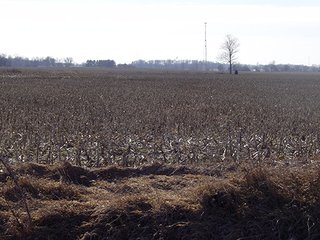80 Acre Grain Farm - 80 Acre Grain Farm (PRICE REDUCED)