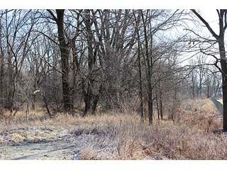2560+/- Feet of lakefront on Carr Lake.  Enjoy excellent hunting, fishing and recreation on this secluded 12.75+/- acres, or potential building site.

Warsaw Community High School - Recreational Lakefront Property