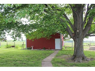 74 Acres with 2 homes and buildings.  Gently rolling land with 52+/- tillable acres and 18+/- wooded acres. - 74 Acres with 2 Homes & Buildings