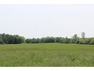 74 Acres with 2 homes and buildings.  Gently rolling land with 52+/- tillable acres and 18+/- wooded acres. - 74 Acres with 2 Homes & Buildings
