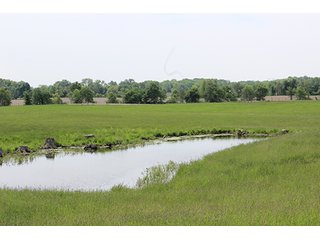 74 Acres with 2 homes and buildings.  Gently rolling land with 52+/- tillable acres and 18+/- wooded acres. - 74 Acres with 2 Homes & Buildings