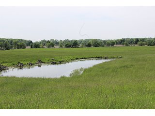 74 Acres with 2 homes and buildings.  Gently rolling land with 52+/- tillable acres and 18+/- wooded acres. - 74 Acres with 2 Homes & Buildings