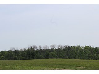 74 Acres with 2 homes and buildings.  Gently rolling land with 52+/- tillable acres and 18+/- wooded acres. - 74 Acres with 2 Homes & Buildings