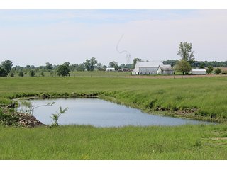 74 Acres with 2 homes and buildings.  Gently rolling land with 52+/- tillable acres and 18+/- wooded acres. - 74 Acres with 2 Homes & Buildings