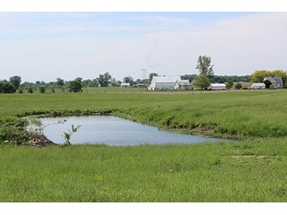 74 Acres with 2 homes and buildings.  Gently rolling land with 52+/- tillable acres and 18+/- wooded acres. - 74 Acres with 2 Homes & Buildings