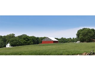 74 Acres with 2 homes and buildings.  Gently rolling land with 52+/- tillable acres and 18+/- wooded acres. - 74 Acres with 2 Homes & Buildings