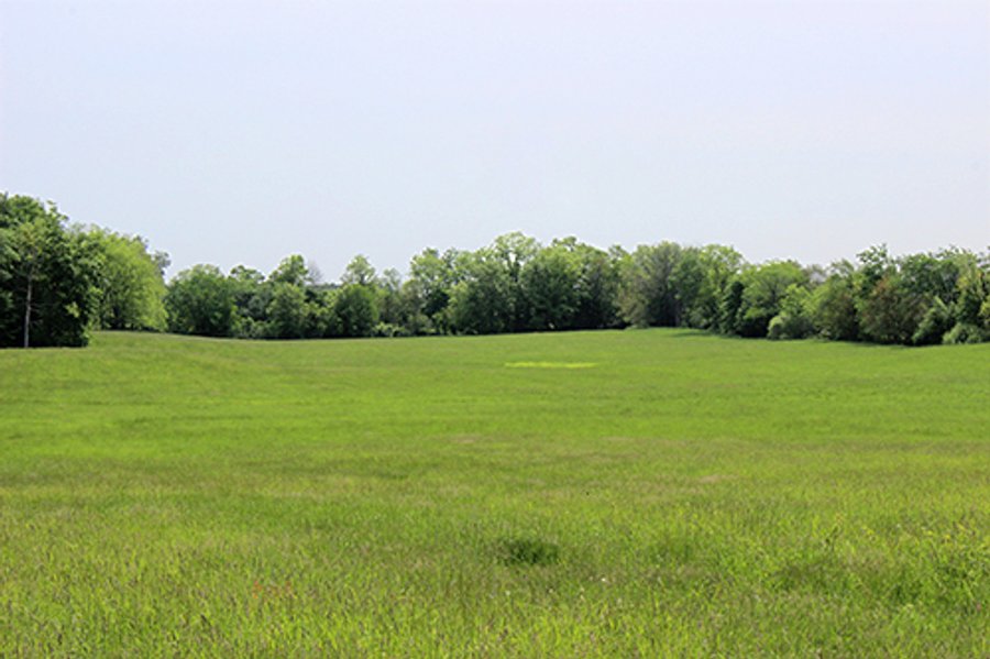 For sale: 74 Acres with 2 Homes & Buildings - Warsaw, IN