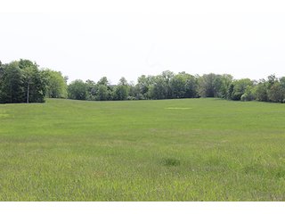 74 Acres with 2 homes and buildings.  Gently rolling land with 52+/- tillable acres and 18+/- wooded acres. - 74 Acres with 2 Homes & Buildings