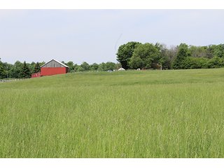 74 Acres with 2 homes and buildings.  Gently rolling land with 52+/- tillable acres and 18+/- wooded acres. - 74 Acres with 2 Homes & Buildings