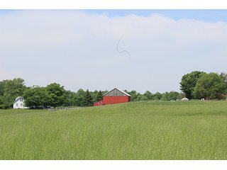 74 Acres with 2 homes and buildings.  Gently rolling land with 52+/- tillable acres and 18+/- wooded acres. - 74 Acres with 2 Homes & Buildings