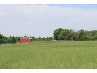 74 Acres with 2 homes and buildings.  Gently rolling land with 52+/- tillable acres and 18+/- wooded acres. - 74 Acres with 2 Homes & Buildings