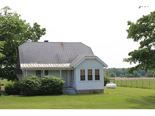 74 Acres with 2 homes and buildings.  Gently rolling land with 52+/- tillable acres and 18+/- wooded acres. - 74 Acres with 2 Homes & Buildings