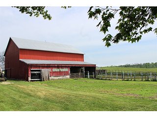 74 Acres with 2 homes and buildings.  Gently rolling land with 52+/- tillable acres and 18+/- wooded acres. - 74 Acres with 2 Homes & Buildings