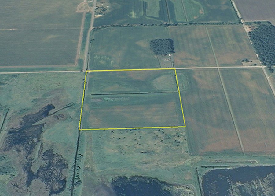 For sale: 40 Acre Grain Farm - LaPorte, Indiana