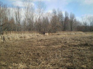 Property consists of 29.8 acres of woods and marshland with a newer 20 x 36 hunting cabin with garage all set back from the road for a fabulous hunting and recreation retreat.  

Cabin is set at edge of wooded area for a beautiful view of the area.

The woods have a former apple orchard and a cleared path around the perimeter of the property.  The marshland has duck blinds with abundance of waterfowl.  

Present owner has hunted with fantastic results, and pictures are taken from actual property. 

Don't miss an opportunity to own your own little paradise. - Prime Hunting and Recreation Land with Newer Cabin