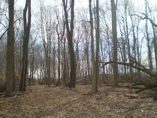 Property consists of 29.8 acres of woods and marshland with a newer 20 x 36 hunting cabin with garage all set back from the road for a fabulous hunting and recreation retreat.  

Cabin is set at edge of wooded area for a beautiful view of the area.

The woods have a former apple orchard and a cleared path around the perimeter of the property.  The marshland has duck blinds with abundance of waterfowl.  

Present owner has hunted with fantastic results, and pictures are taken from actual property. 

Don't miss an opportunity to own your own little paradise. - Prime Hunting and Recreation Land with Newer Cabin