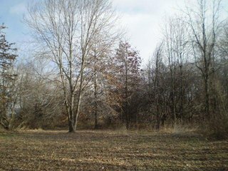 Property consists of 29.8 acres of woods and marshland with a newer 20 x 36 hunting cabin with garage all set back from the road for a fabulous hunting and recreation retreat.  

Cabin is set at edge of wooded area for a beautiful view of the area.

The woods have a former apple orchard and a cleared path around the perimeter of the property.  The marshland has duck blinds with abundance of waterfowl.  

Present owner has hunted with fantastic results, and pictures are taken from actual property. 

Don't miss an opportunity to own your own little paradise. - Prime Hunting and Recreation Land with Newer Cabin