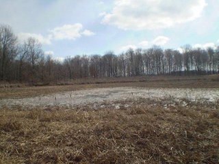 Property consists of 29.8 acres of woods and marshland with a newer 20 x 36 hunting cabin with garage all set back from the road for a fabulous hunting and recreation retreat.  

Cabin is set at edge of wooded area for a beautiful view of the area.

The woods have a former apple orchard and a cleared path around the perimeter of the property.  The marshland has duck blinds with abundance of waterfowl.  

Present owner has hunted with fantastic results, and pictures are taken from actual property. 

Don't miss an opportunity to own your own little paradise. - Prime Hunting and Recreation Land with Newer Cabin