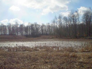 Property consists of 29.8 acres of woods and marshland with a newer 20 x 36 hunting cabin with garage all set back from the road for a fabulous hunting and recreation retreat.  

Cabin is set at edge of wooded area for a beautiful view of the area.

The woods have a former apple orchard and a cleared path around the perimeter of the property.  The marshland has duck blinds with abundance of waterfowl.  

Present owner has hunted with fantastic results, and pictures are taken from actual property. 

Don't miss an opportunity to own your own little paradise. - Prime Hunting and Recreation Land with Newer Cabin
