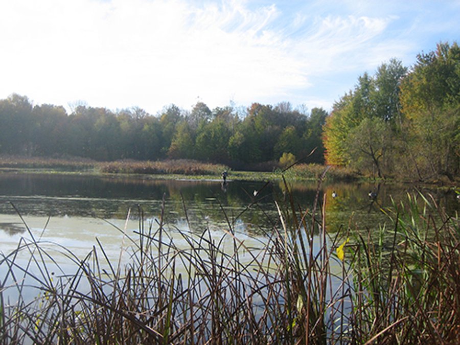 For sale: Prime Hunting and Recreation Land with Newer Cabin - Gilead, Indiana
