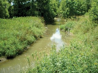 <b>FEATURES INCLUDE:</b>
- 76.21+/- Acres, transitional farmland, no improvements.
- Near schools, residential developments, and major retail in Pendleton Pike.
- Zoned agricultural currently.
- 2400+/- Feet frontage on 46th Street and 1105+/- feet frontage, all usable, on German Church Road.
- 68 Acres cropland currently leased for $10,200/year in 2013.
- 2014 tenant's rights available until 2/15/2014, thereafter proposed lease rate of $11,900/yr. to be assumed.
- Pretty 8 acres stream/woods.
- City water and sewer on German Church Road.
- New roundabout planned at intersection.
 - Transitional Farmland                                   