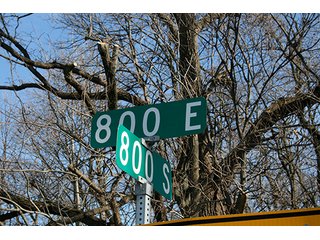 Approximately 25 acres woods.  Possible buildings sites, recreation. - Building Sites, Recreation, Woods 