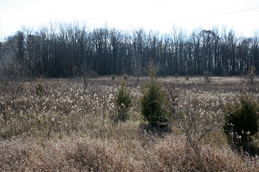 For sale: Building Sites, Recreation, Woods 
