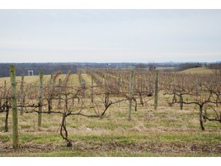 Property photo 19 - REAL ESTATE & RESTAURANT/WINE EQUIPMENT
