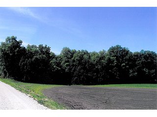 Tract 2 - 241 Acres Offered in 4 Tracts, Land Auction