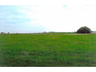 Tract 4 - 241 Acres Offered in 4 Tracts, Land Auction