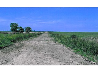 Tract 1 - 241 Acres Offered in 4 Tracts, Land Auction