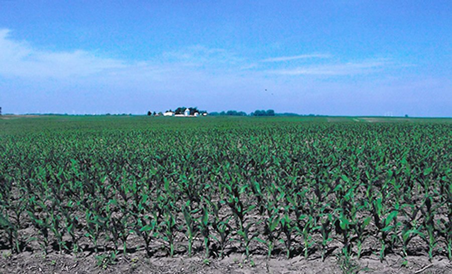 241 Acres Offered in 4 Tracts, Land Auction